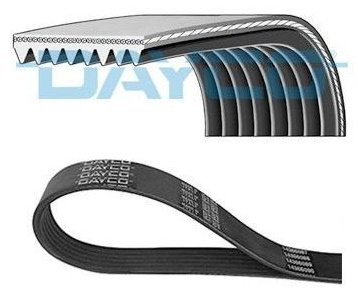 DAYCO ремень поликлиновый 8PK1202HD