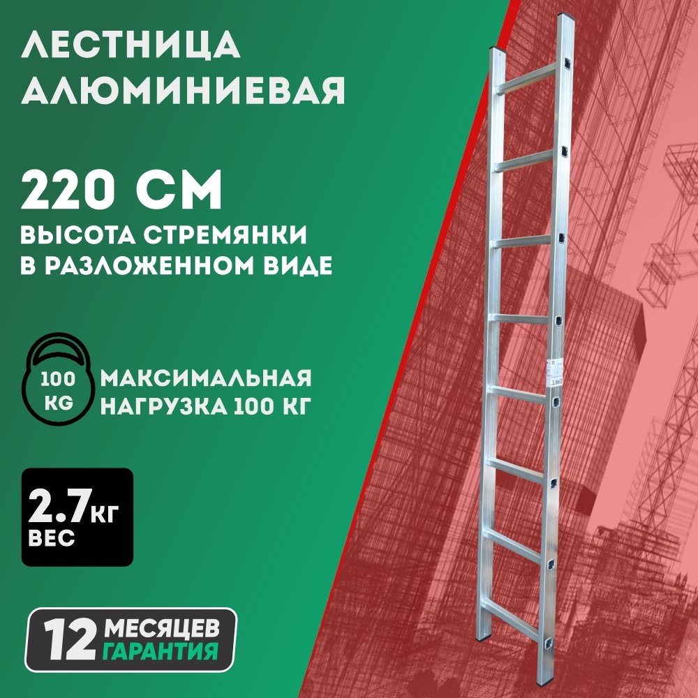 DWT лестница DTL-SA2208, 220 см
