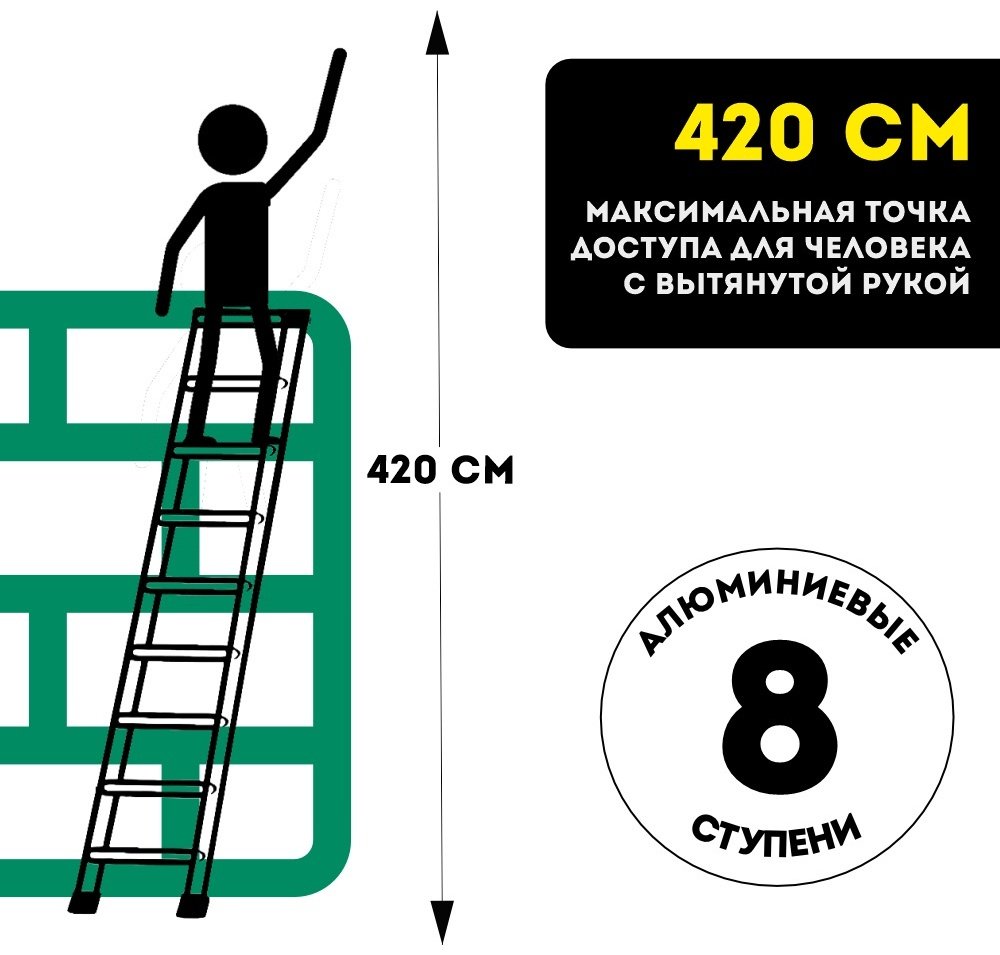 DWT лестница DTL-SA2208, 220 см - ForteMarket DWT лестница DTL-SA2208, 220 см купить,0
