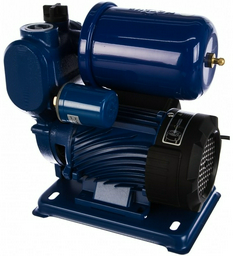 Насос поверхностный Mateus TGP125 MS05403