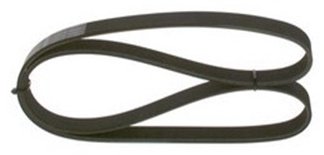 DAYCO ремень поликлиновый 8PK1660HD