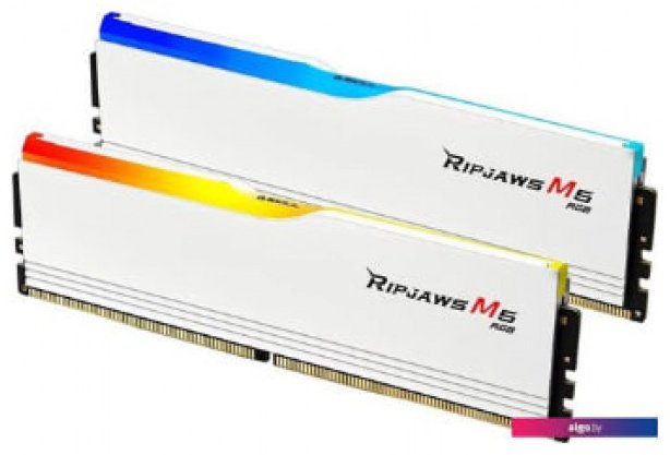 Оперативная память G.SKILL F5-5200J4040A24GX2-RM5RW 48 Гб