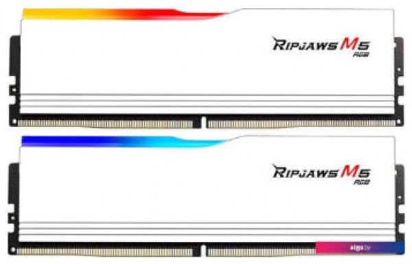 Оперативная память G.SKILL F5-5200J4040A24GX2-RM5RW 48 Гб купить,0