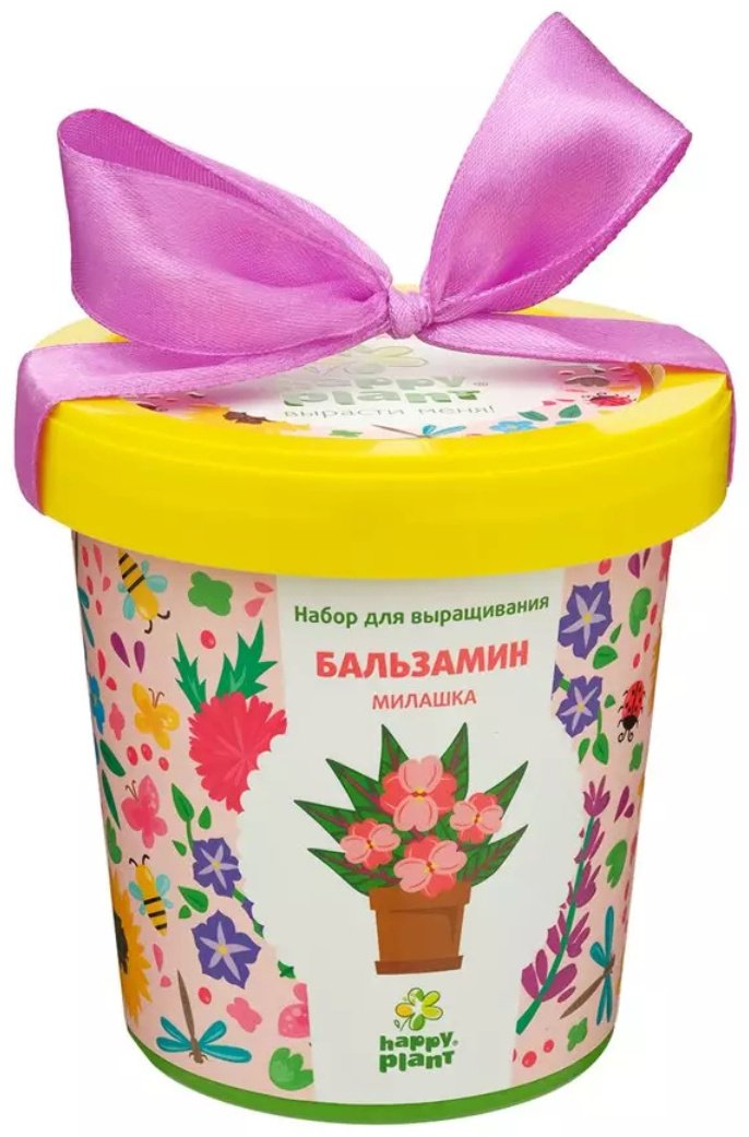 Выращивание растений Happy Plant Бальзамин милашка hpn-31