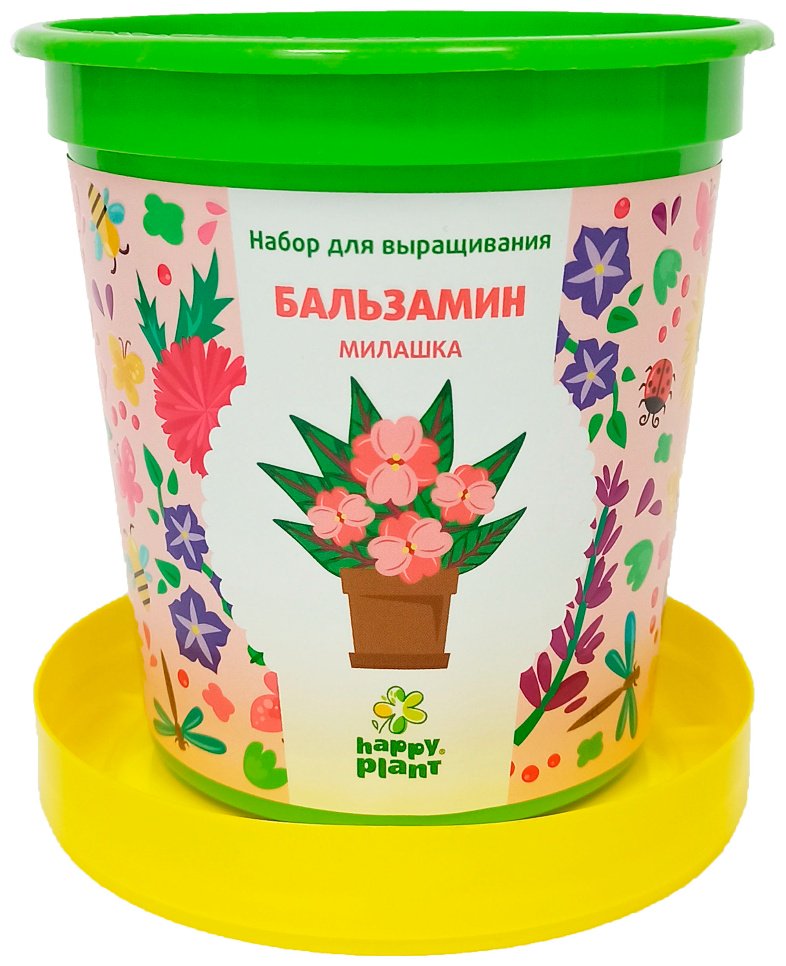 Выращивание растений Happy Plant Бальзамин милашка hpn-31 - ForteMarket Выращивание растений Happy Plant Бальзамин милашка hpn-31 купить,0
