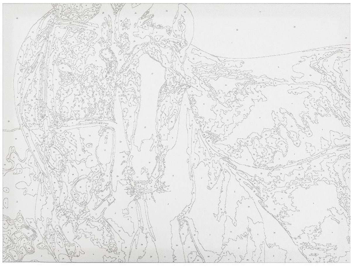 Картина Мульти Арт Милые лошади холст на подрамнике 40x30 см купить,0