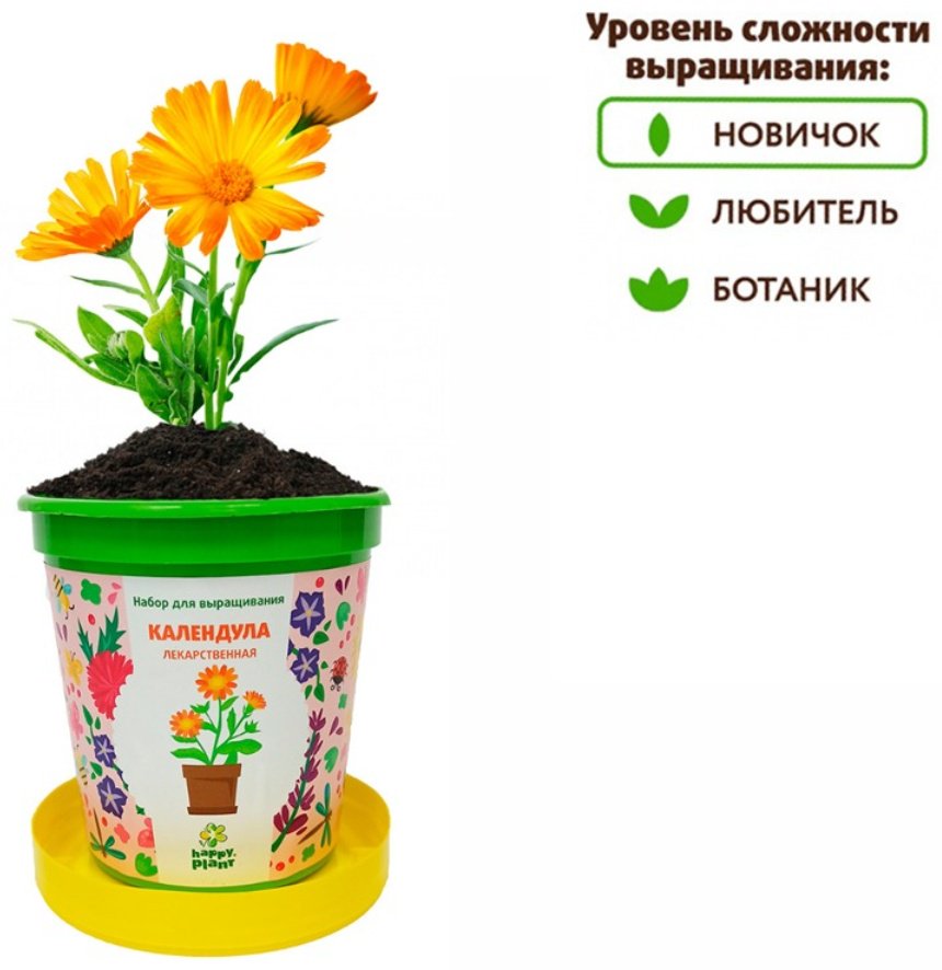 Выращивание растений Happy Plant Календула купить,0