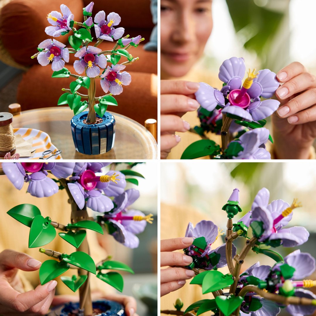 Конструктор LEGO Гибискус Botanicals, деталей 660 шт