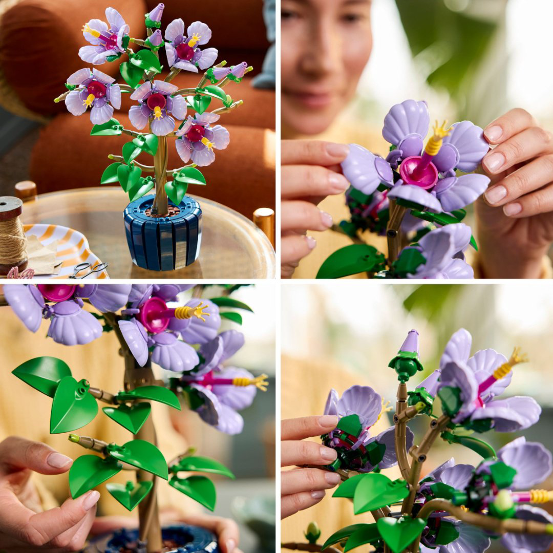 Конструктор LEGO Гибискус Botanicals, деталей 660 шт купить,NaN