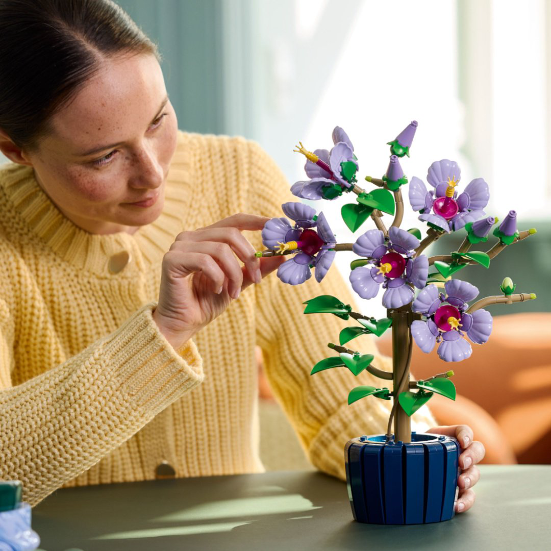 Конструктор LEGO Гибискус Botanicals, деталей 660 шт купить,NaN