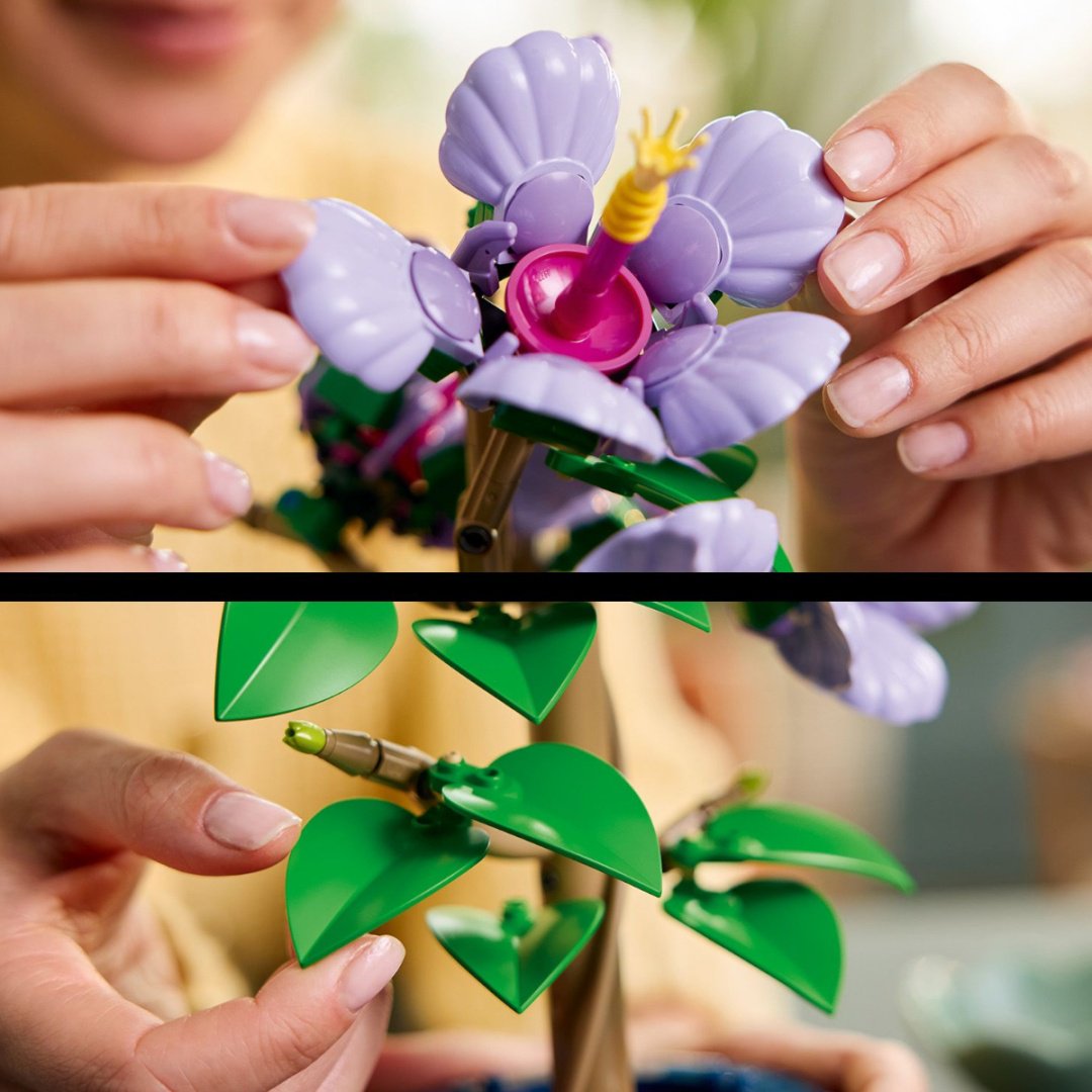 Конструктор LEGO Гибискус Botanicals, деталей 660 шт купить,NaN