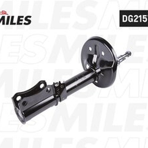 Амортизатор MILES задний DG21573-01 1 шт купить,NaN