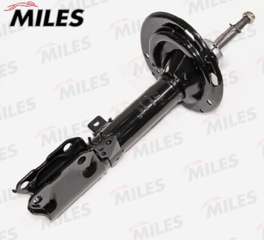 Амортизатор MILES задний DG21569-01 1 шт купить,NaN