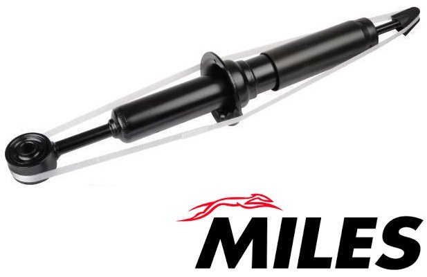 Амортизатор MILES передний DG02725 1 шт купить,NaN