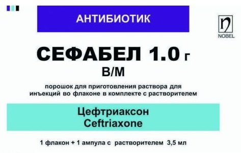 Сефабел раствор 1 г 1 шт