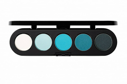 Тени для век Make-Up Atelier Paris 5 цветов T11 Сине-зеленая гамма 10гр - ForteMarket