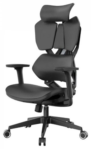 Офисное кресло Sihoo X5C-202, черный - ForteMarket Офисное кресло Sihoo X5C-202, черный купить,0