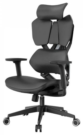 Офисное кресло Sihoo X5C-202, черный купить,NaN