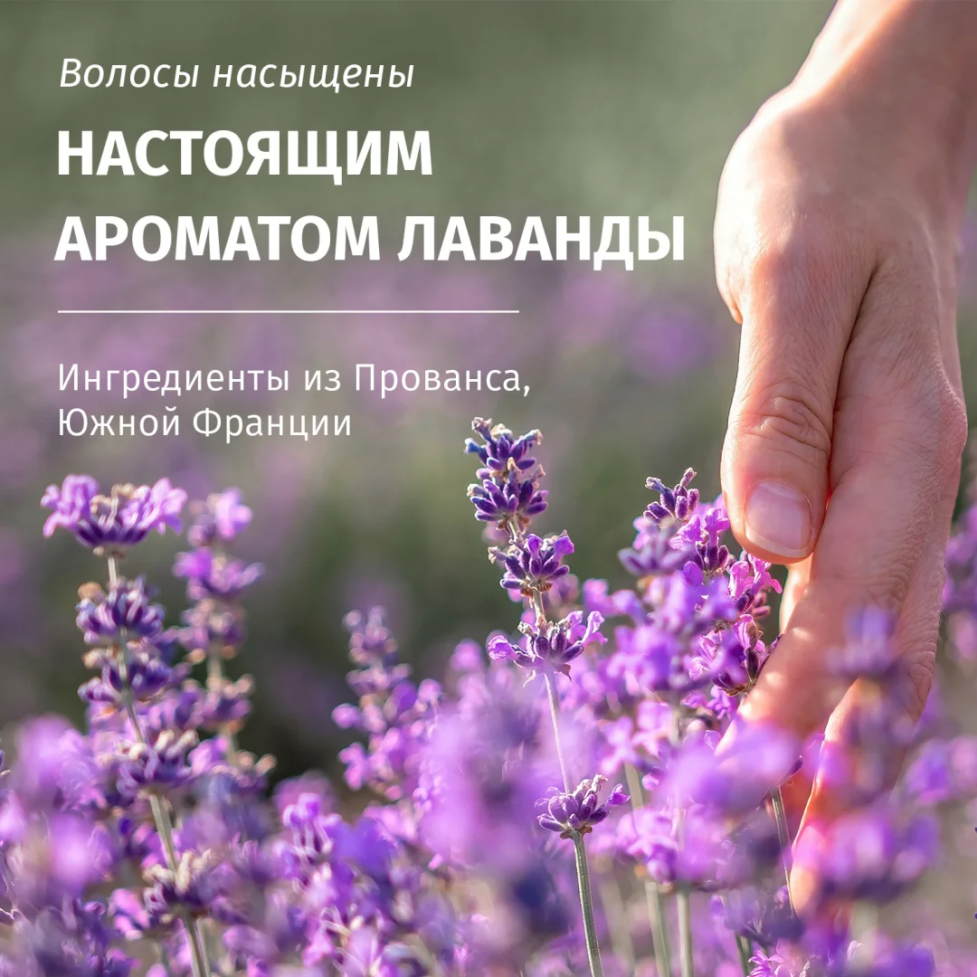 Шампунь Herbal Essences питание лаванда 350 мл купить,NaN