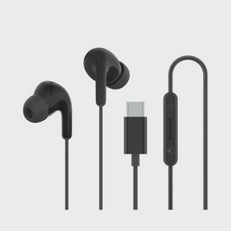 Наушники Xiaomi Type-C Earphones M2413E1 Black