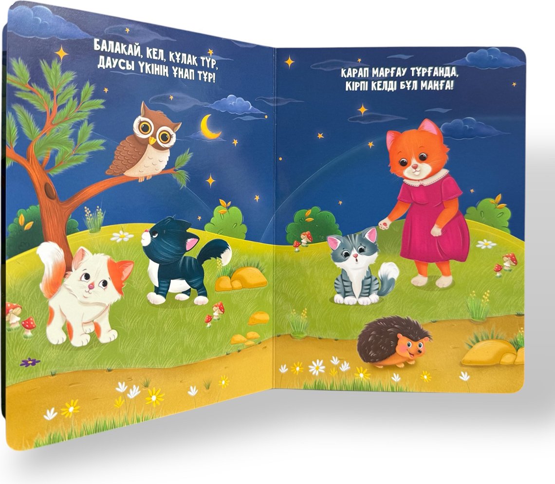 Книга Без автора: Түнде ояу жатқан кім! купить,NaN