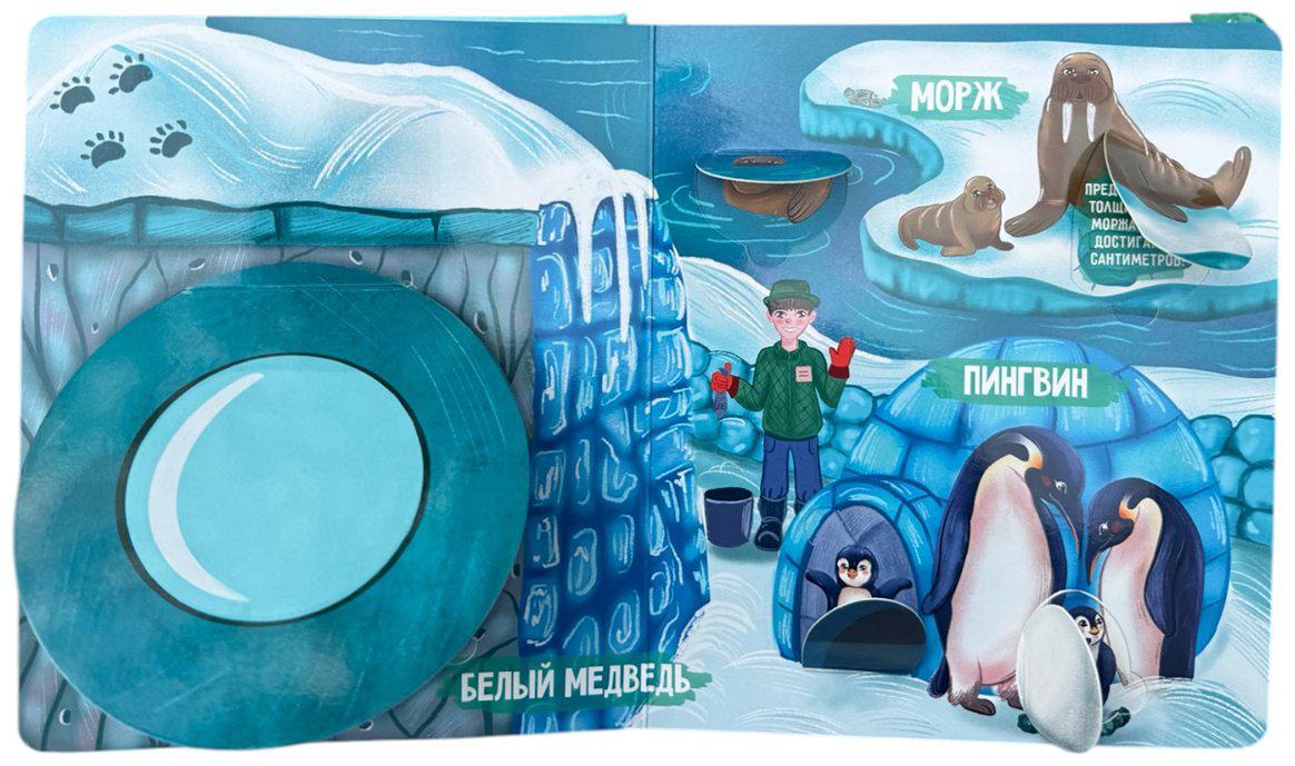 Книга Без автора: Книжка с окошками: Зоопарк купить,NaN