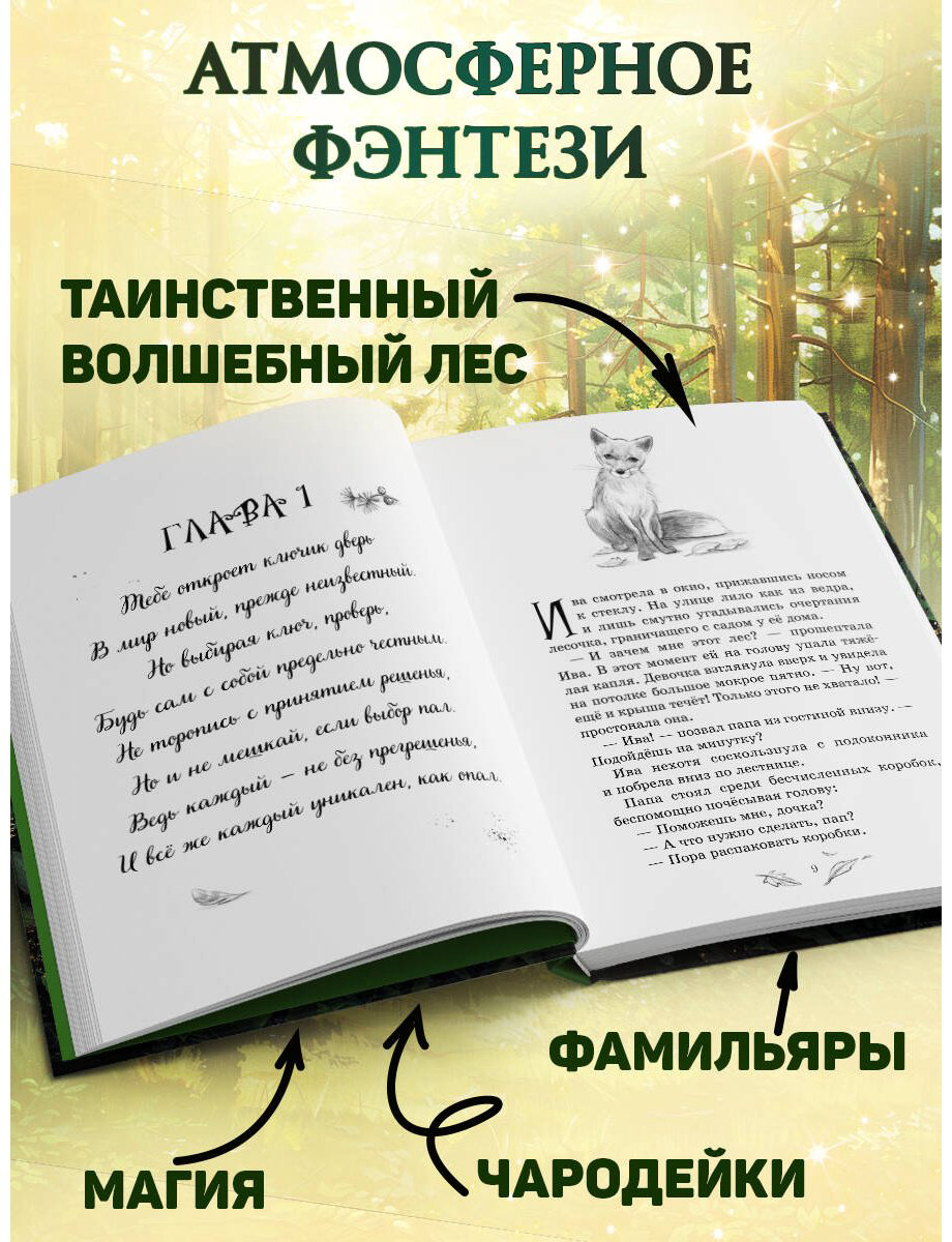 Книга Больманн С.: Магия четырех стихий. Девочка по имени Ива (#1) купить,NaN