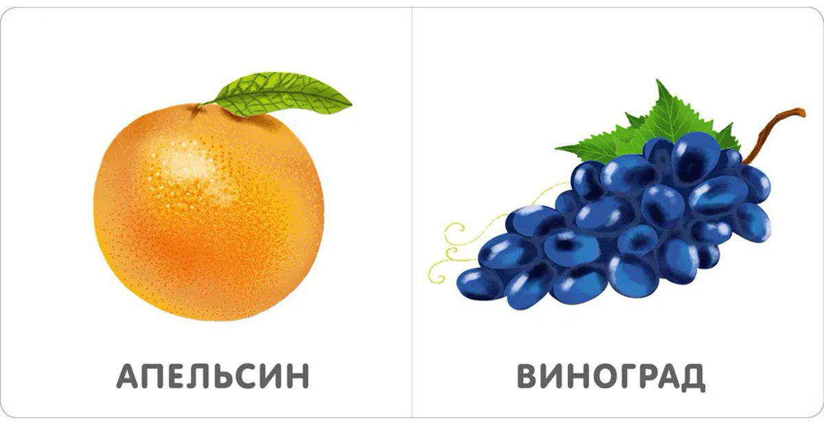 Книга Без автора: Книжки - картонки. Фрукты и ягоды купить,NaN