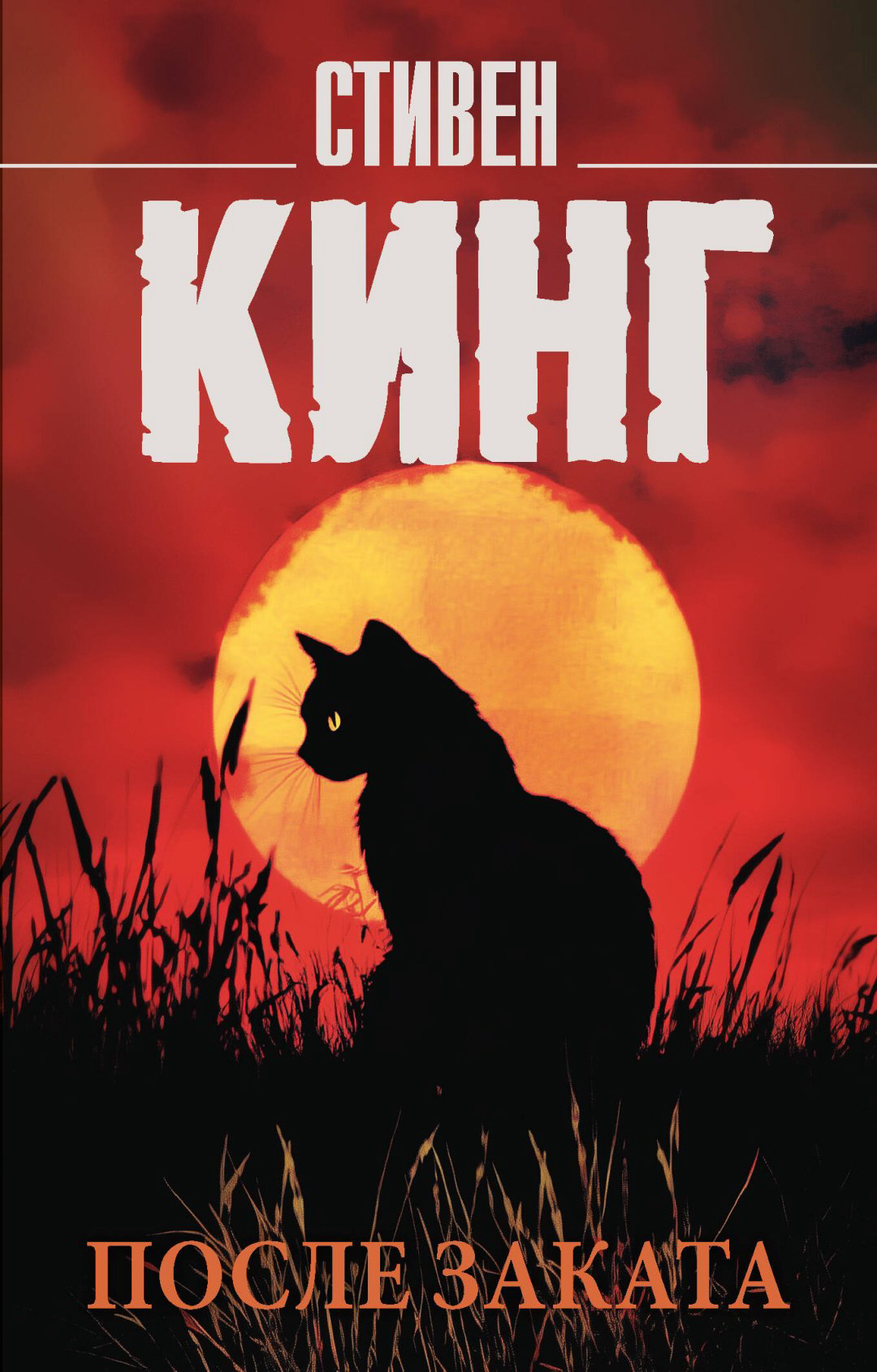Книга Кинг С.: После заката купить,NaN