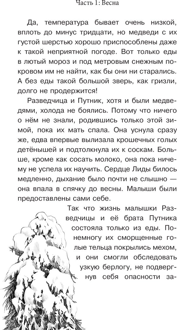 Книга Валдер В.: Король медведей купить,NaN