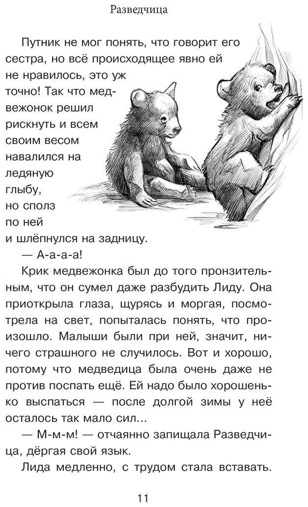 Книга Валдер В.: Король медведей купить,NaN