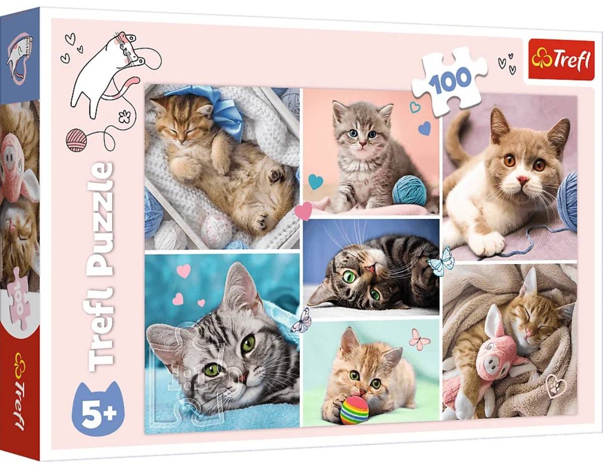 Пазл Trefl 16420 классический 100 деталей
