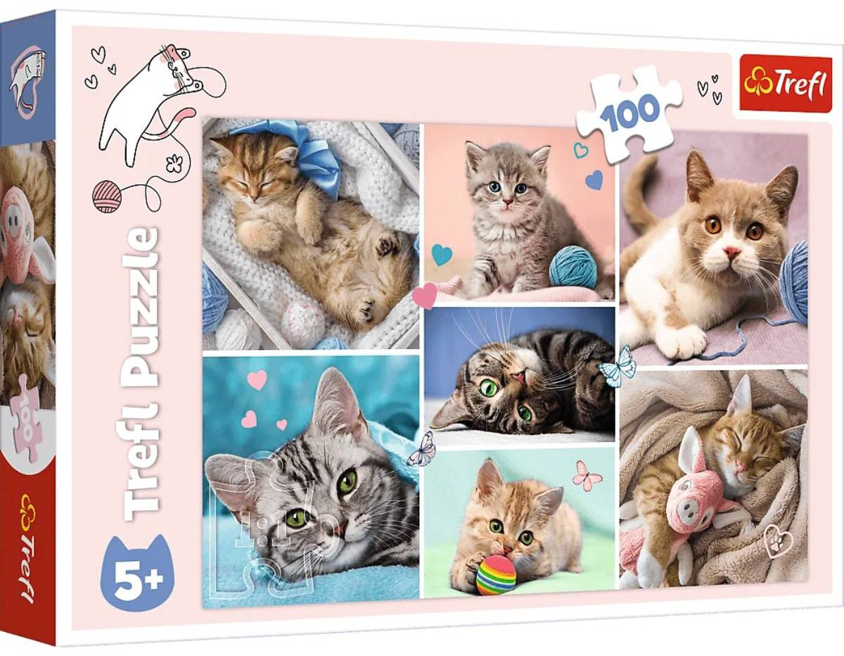 Пазл Trefl 16420 классический 100 деталей купить,NaN