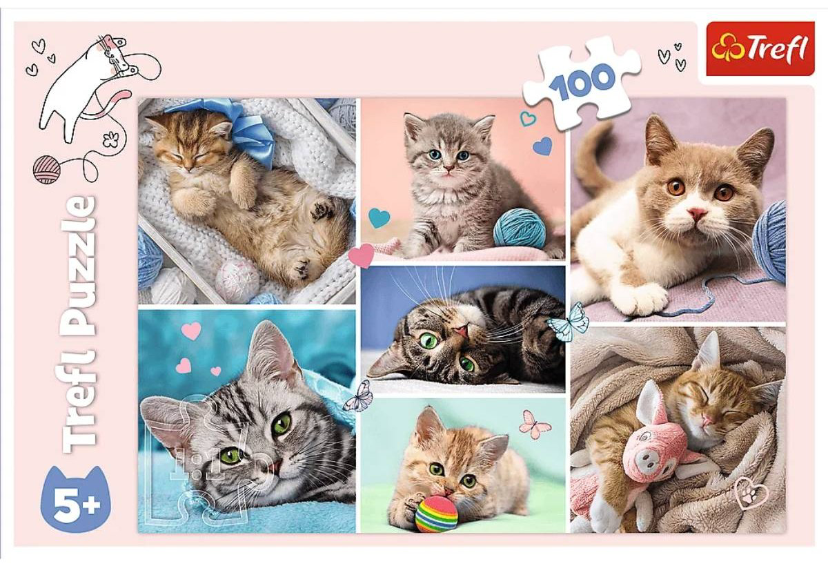 Пазл Trefl 16420 классический 100 деталей купить,NaN