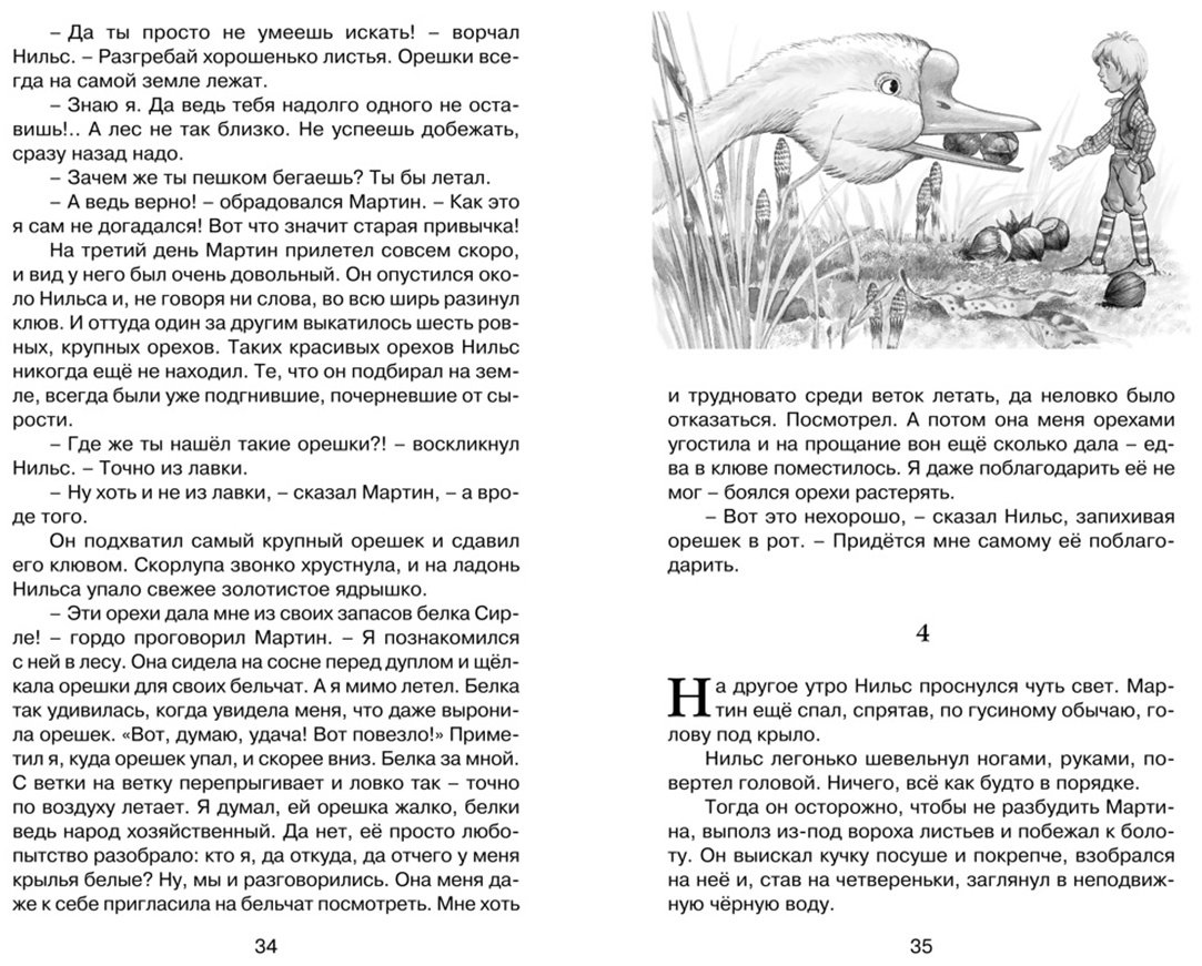 Книга Лагерлёф С. О. Л.: Чудесное путешествие Нильса с дикими гусями купить,NaN