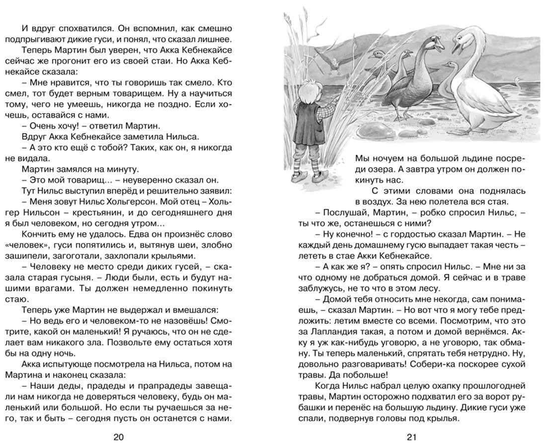 Книга Лагерлёф С. О. Л.: Чудесное путешествие Нильса с дикими гусями купить,NaN