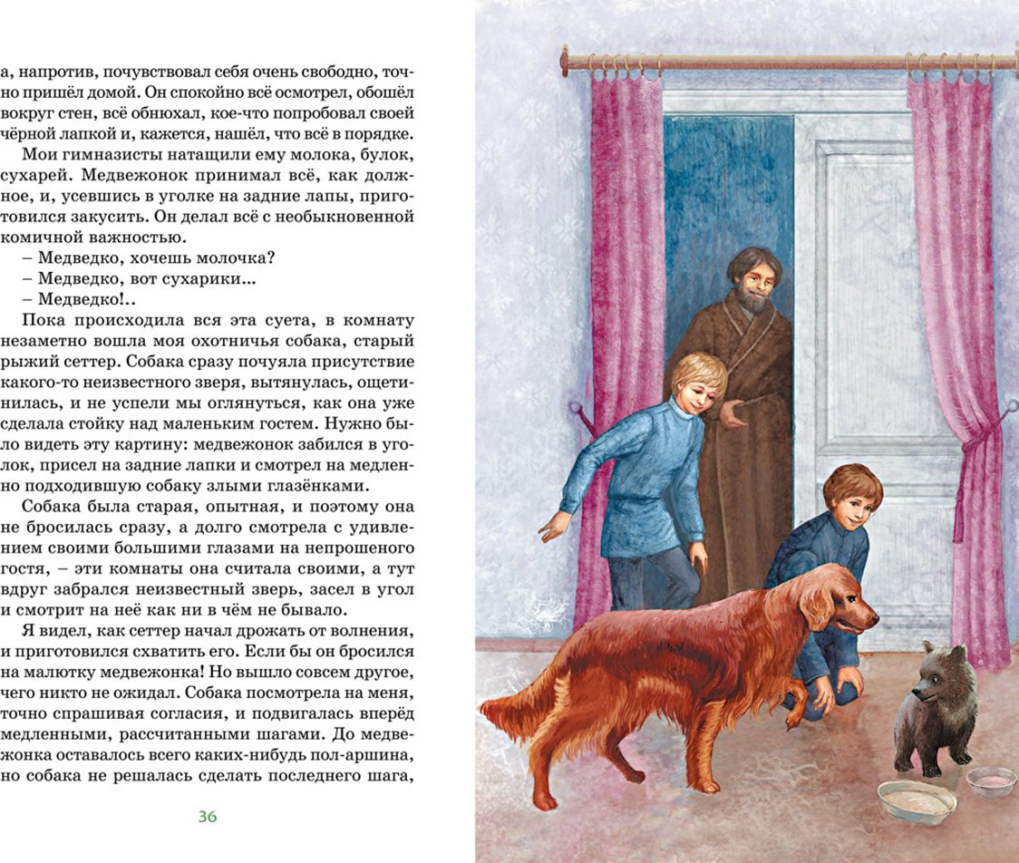 Книга Мамин-Сибиряк Д. Н. Иллюстрации да: Серая шейка купить,NaN