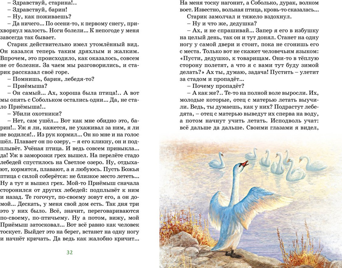 Книга Мамин-Сибиряк Д. Н. Иллюстрации да: Серая шейка купить,NaN