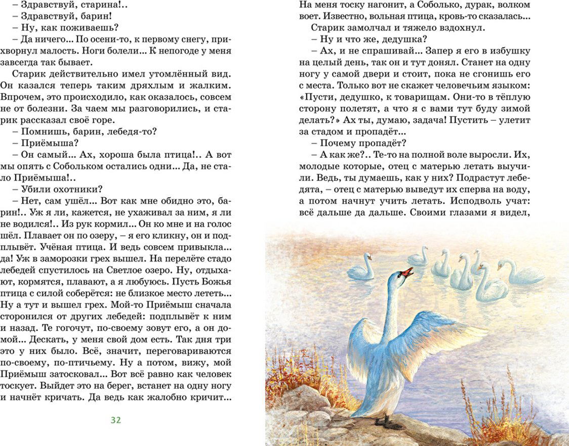 Книга Мамин-Сибиряк Д. Н. Иллюстрации да: Серая шейка купить,NaN