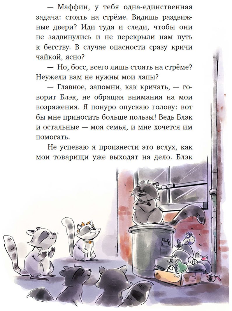 Книга Галли С.: Мой друг енот купить,NaN
