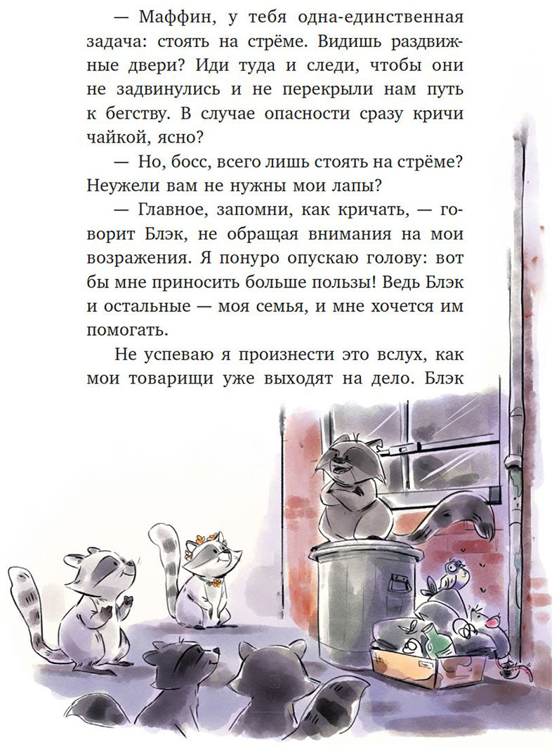 Книга Галли С.: Мой друг енот купить,NaN