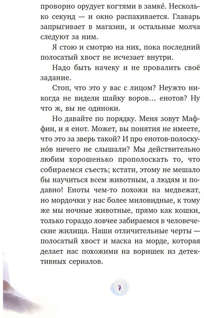 Книга Галли С.: Мой друг енот купить,NaN