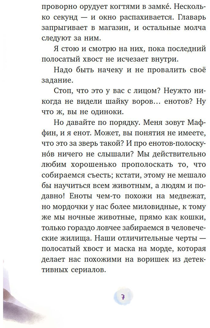 Книга Галли С.: Мой друг енот купить,NaN