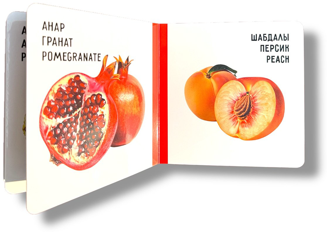Книга Без автора: Жеміс-жидектер. Фрукты и ягоды. Fruits and berries купить,NaN