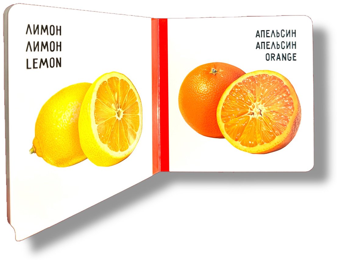 Книга Без автора: Жеміс-жидектер. Фрукты и ягоды. Fruits and berries купить,NaN