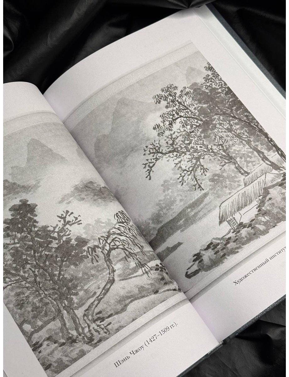 Книга Лао-цзы: Дао дэ цзин. Канон о Дао и дэ купить,NaN