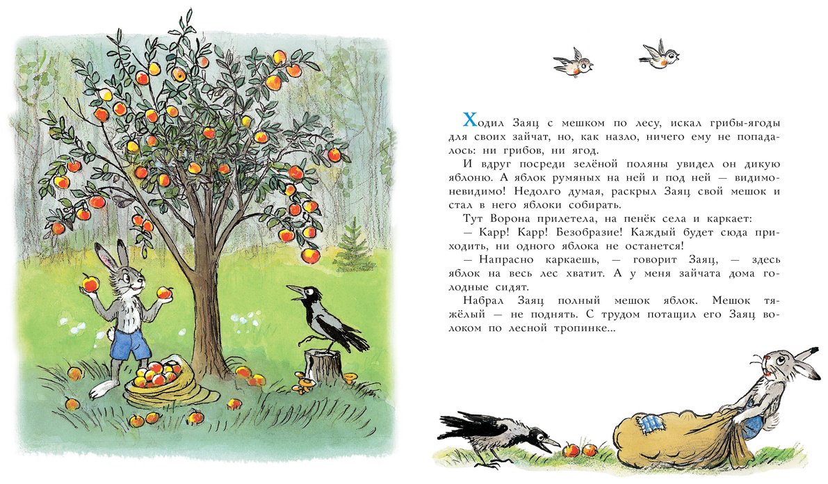 Книга Сутеев В. Г.: Мешок яблок (рис. автора) купить,NaN