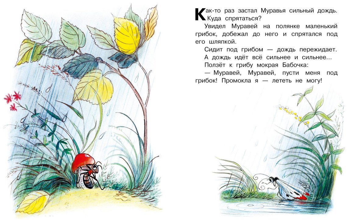 Книга Сутеев В.: Кто сказал мяу Сказки купить,NaN