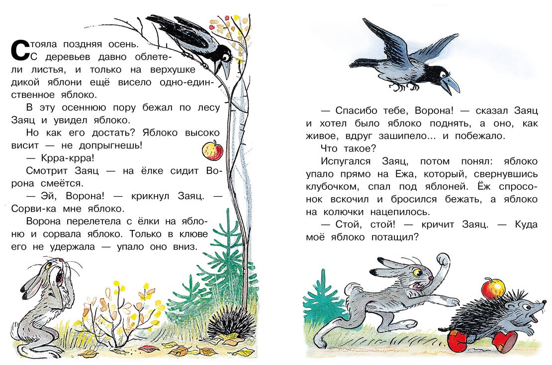 Книга Сутеев В.: Кто сказал мяу Сказки купить,NaN