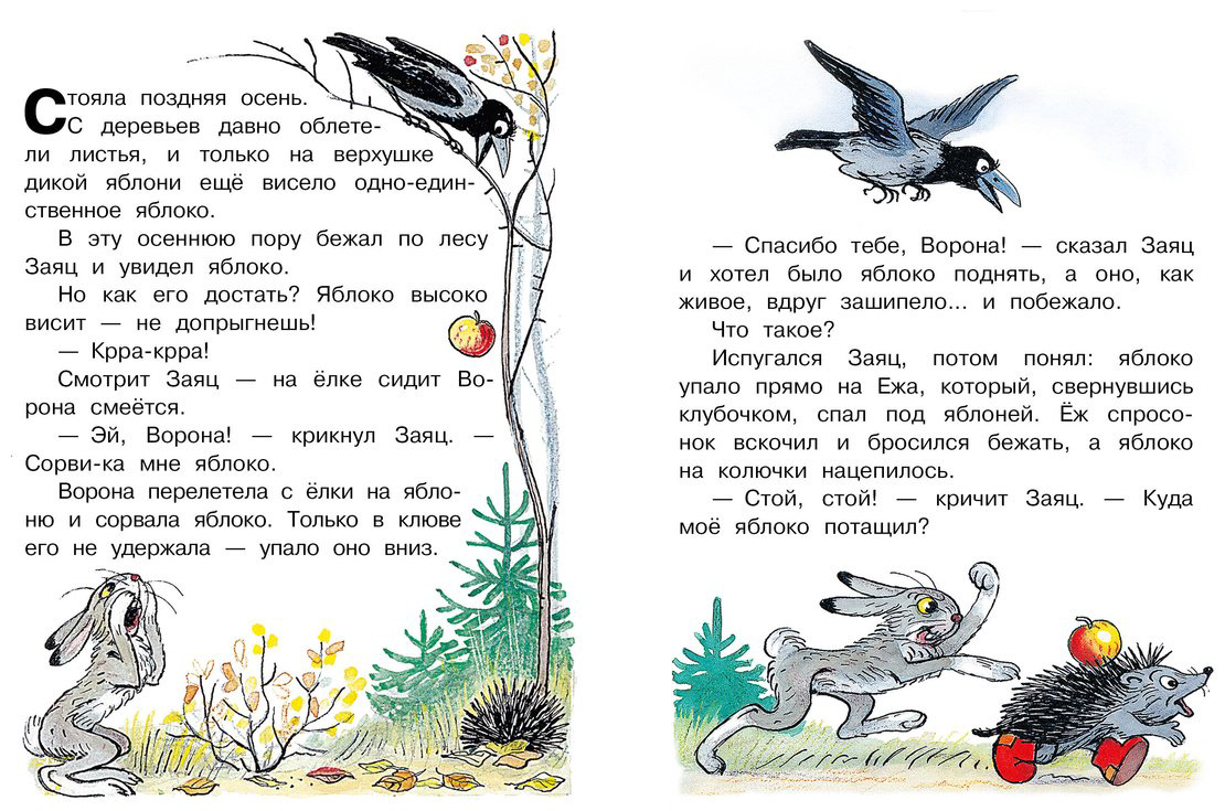 Книга Сутеев В.: Кто сказал мяу Сказки купить,NaN